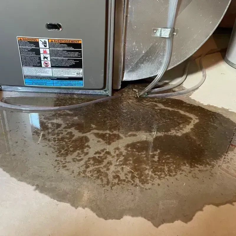 Appliance Leak Cleanup in Bismarck, MO